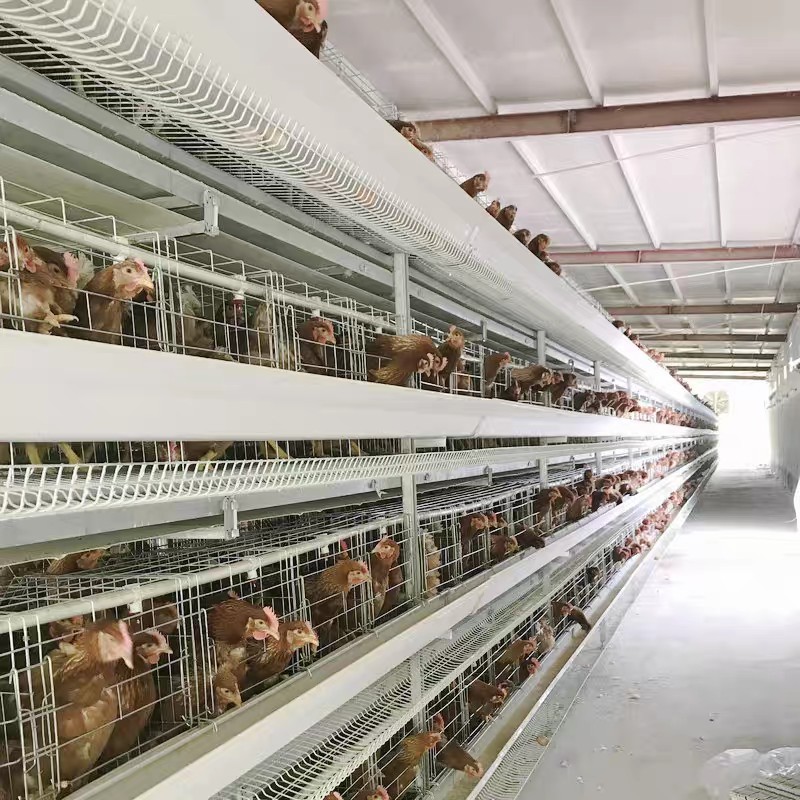 Klatki schodkowe z-ramą